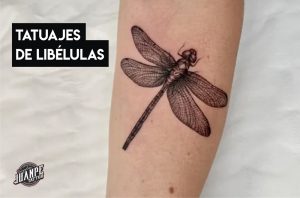 significados de tatuajes de libélulas