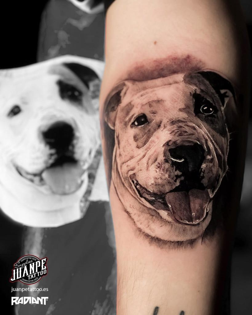 tatuaje-realismo-perro-pierna-juanpetattoo
